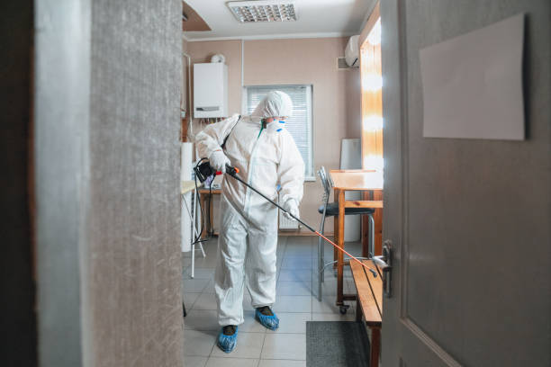 Best Asbestos and Lead Testing During Mold Inspection  in Fenton, MO