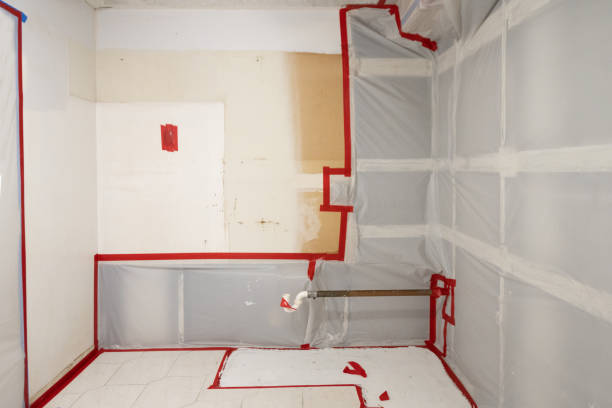 Best Emergency Mold Remediation  in Fenton, MO